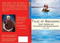Tales of awakening cover pic