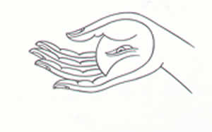 dana mudra pic